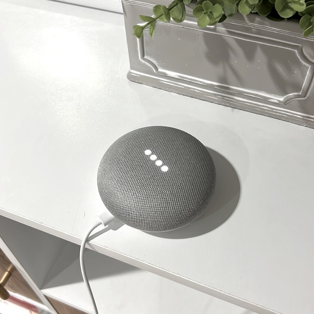 GOOGLE HOME MINI